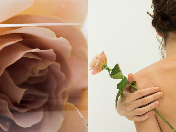 flowers for you | rihka