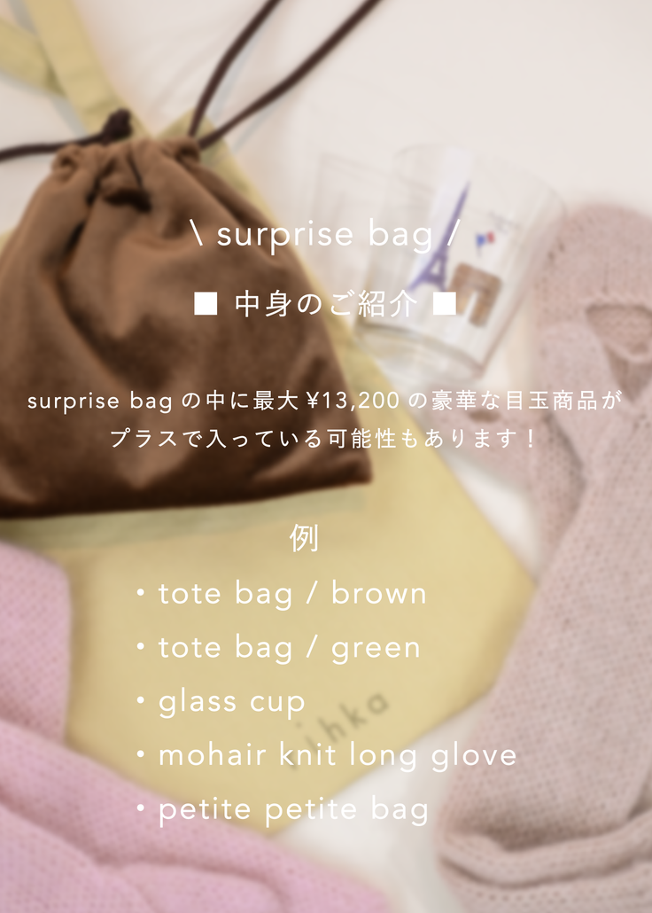 surprise bag  (数量限定)